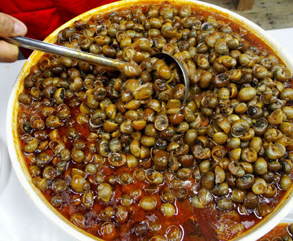 🐌 Monachelle alla Pugliese: la ricetta tradizionale per gustare le lumache Helix Aperta