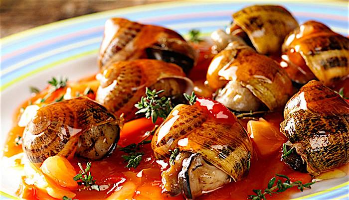 PREPARAZIONE E RICETTA LUMACHE