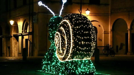 Forli', la storia della lumaca luminosa abbattuta a furor di social, l'assessore: "Ma è salva e nel suo habitat"