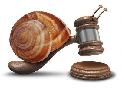 LE DOMANDE E LE RISPOSTE PIU' FREQUENTI PER L' ACQUISTO DI LUMACHE.