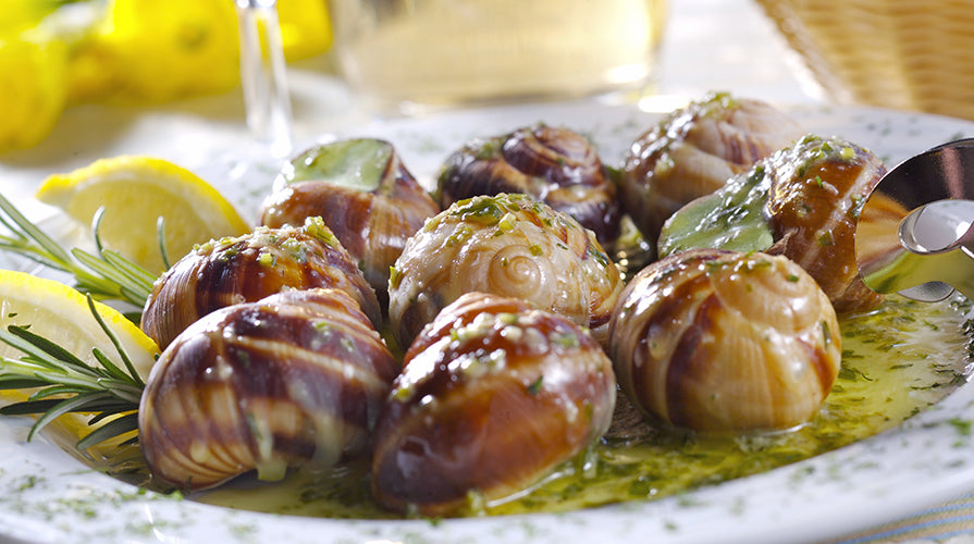 vendita lumache ricetta lumache alla contadina