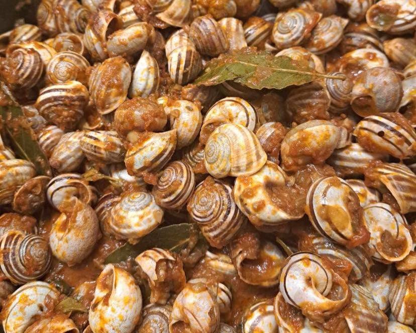 Lumache Rigatella Eobania Vermiculata fresche pronte per cucinar