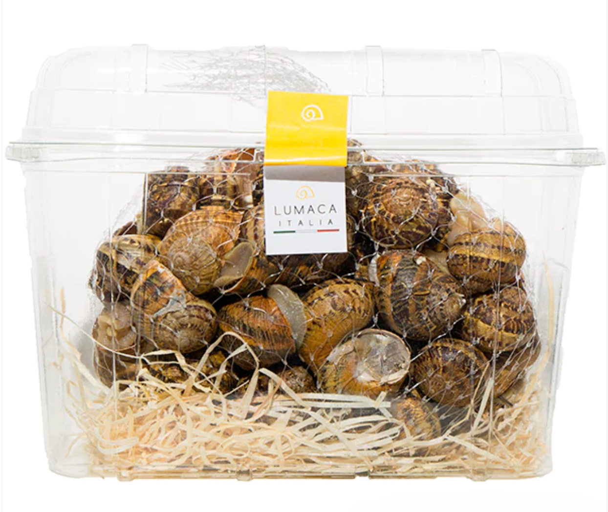 Ingredienti per risotto con tartufo e lumache