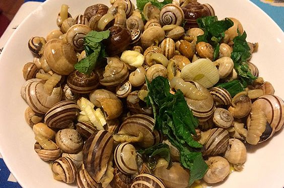 Lumache fresche Rigatella Eobania Vermiculata per preparare piatti gourmet