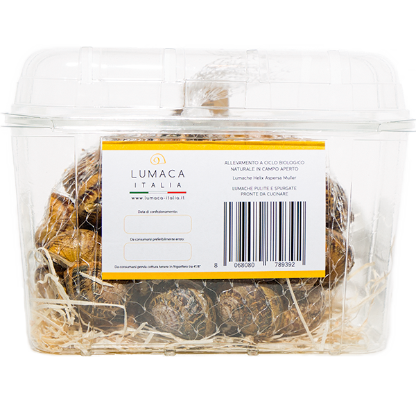 Acquisto lumache online – Helix Aspersa Muller da gastronomia