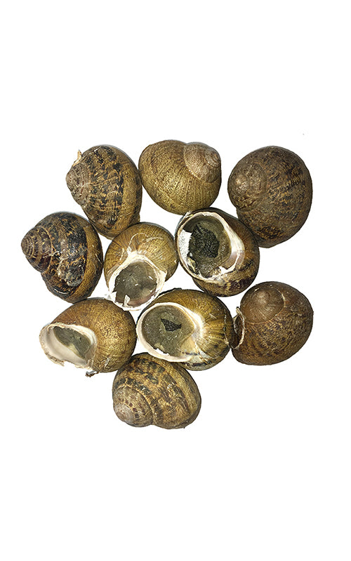 Consegna a domicilio lumache fresche e selezionate