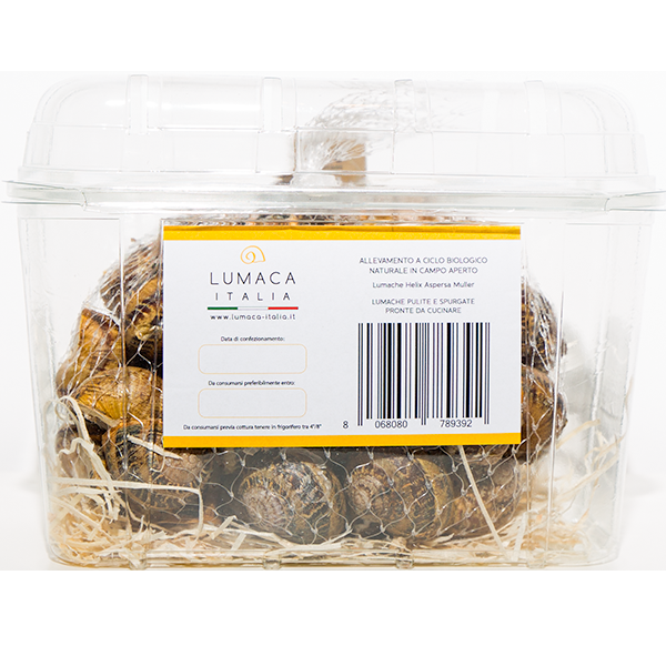 scargot naturali Helix Aspersa Muller pronte per cucinare