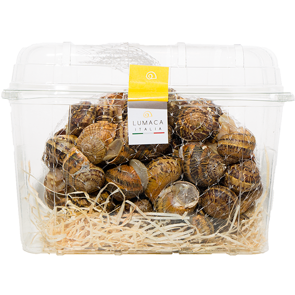 Ingredienti freschi per piatti a base di lumache