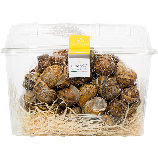 Ingredienti freschi per piatti a base di lumache