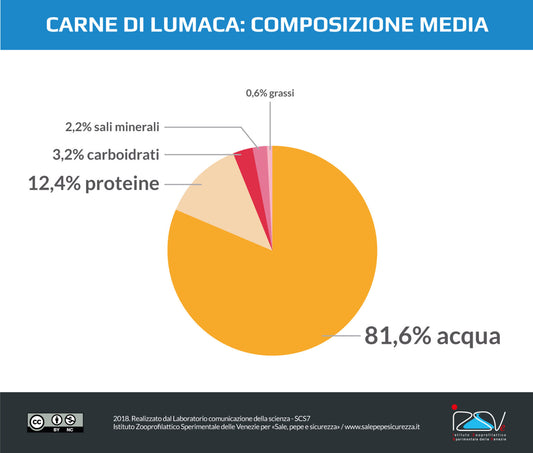 Le lumache sono pesanti da digerire?