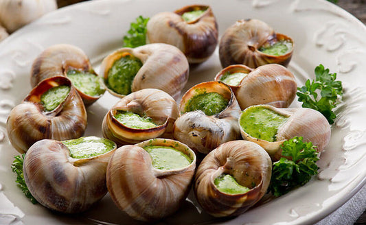 ESCARGOT ALLA BOURGUIGNONNE SCOPRIAMO LA RICETTA