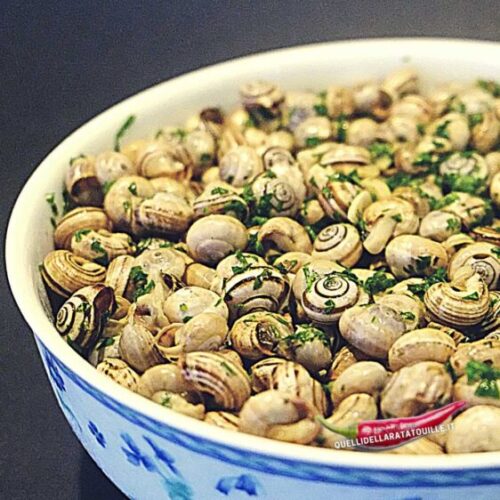 🛒Combo Mix Family  1kg Lumache Rigatelle + 1kg Helix aspersa muller +OMAGGIO🌿