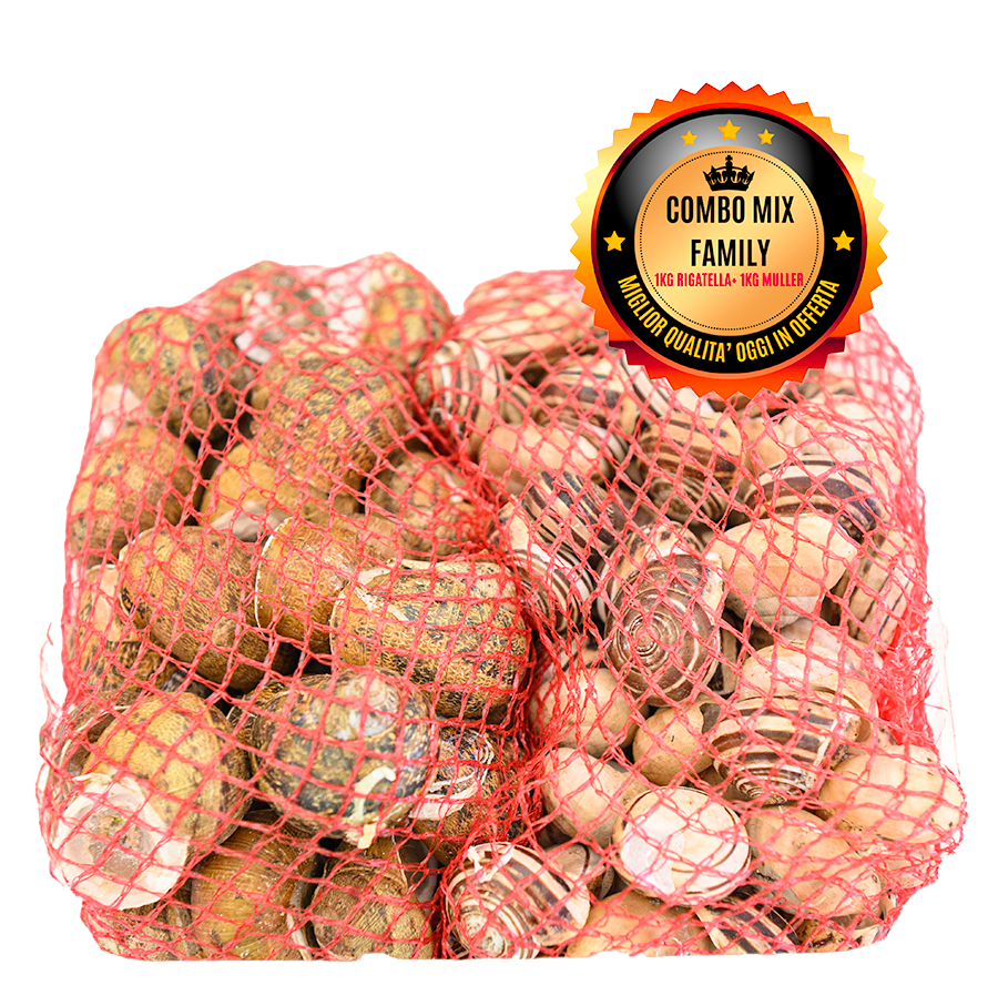 Due specie di lumache fresche nel Combo Mix Lumaca Italia