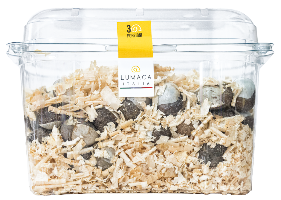 Lumaca Italia - Escargot Fresche, Lumache Gourmet e Piatti Gourmet ...