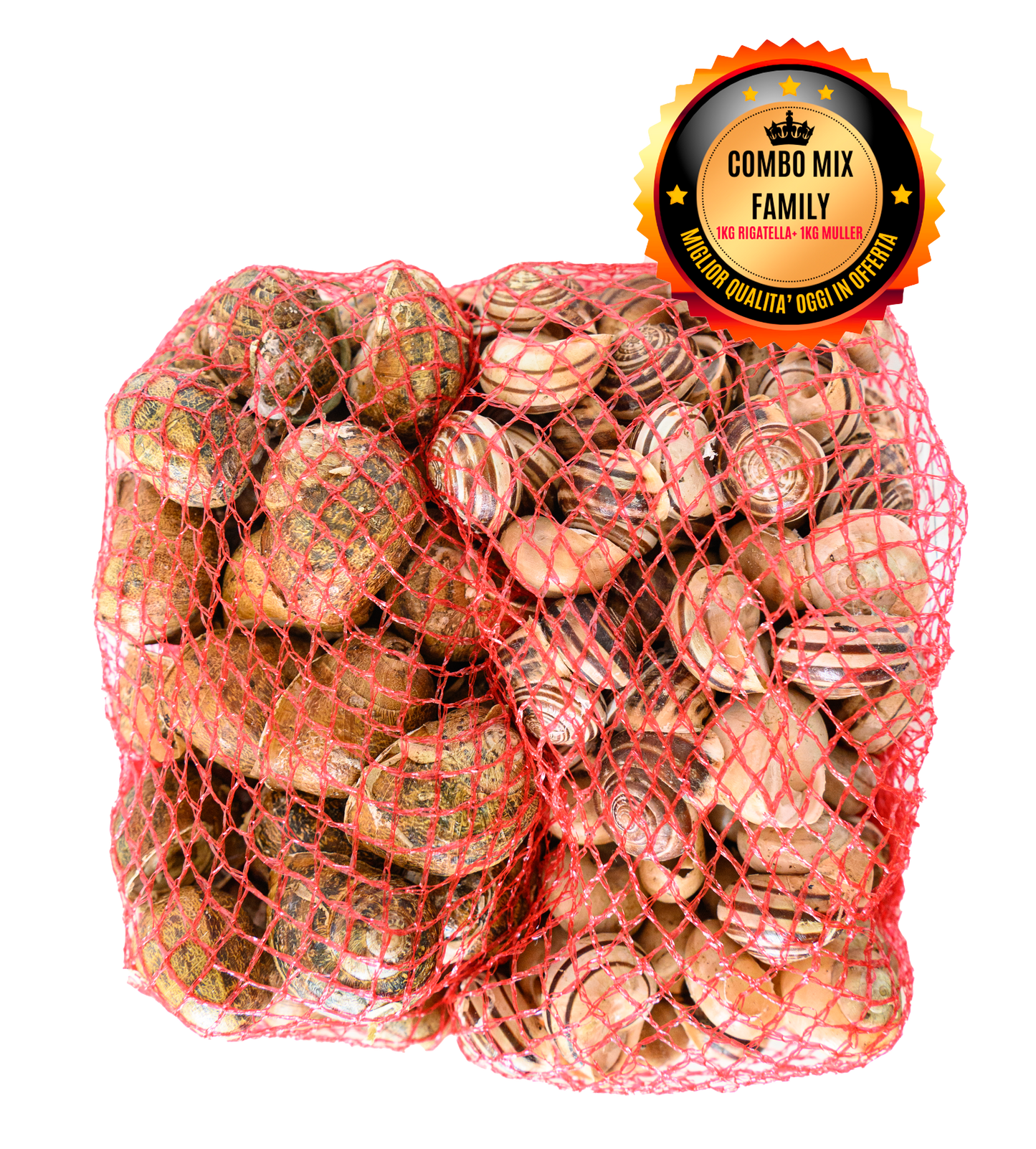 1kg Lumache Rigatelle fresche con Helix Aspersa Muller e spezie