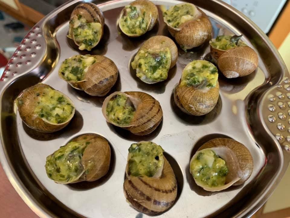 Escargot pronte da cucinare Helix Aspersa Muller per cucina gourmet