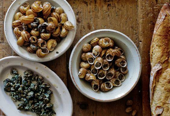 Escargot fresche Helix Aspersa Muller per preparazioni gourmet