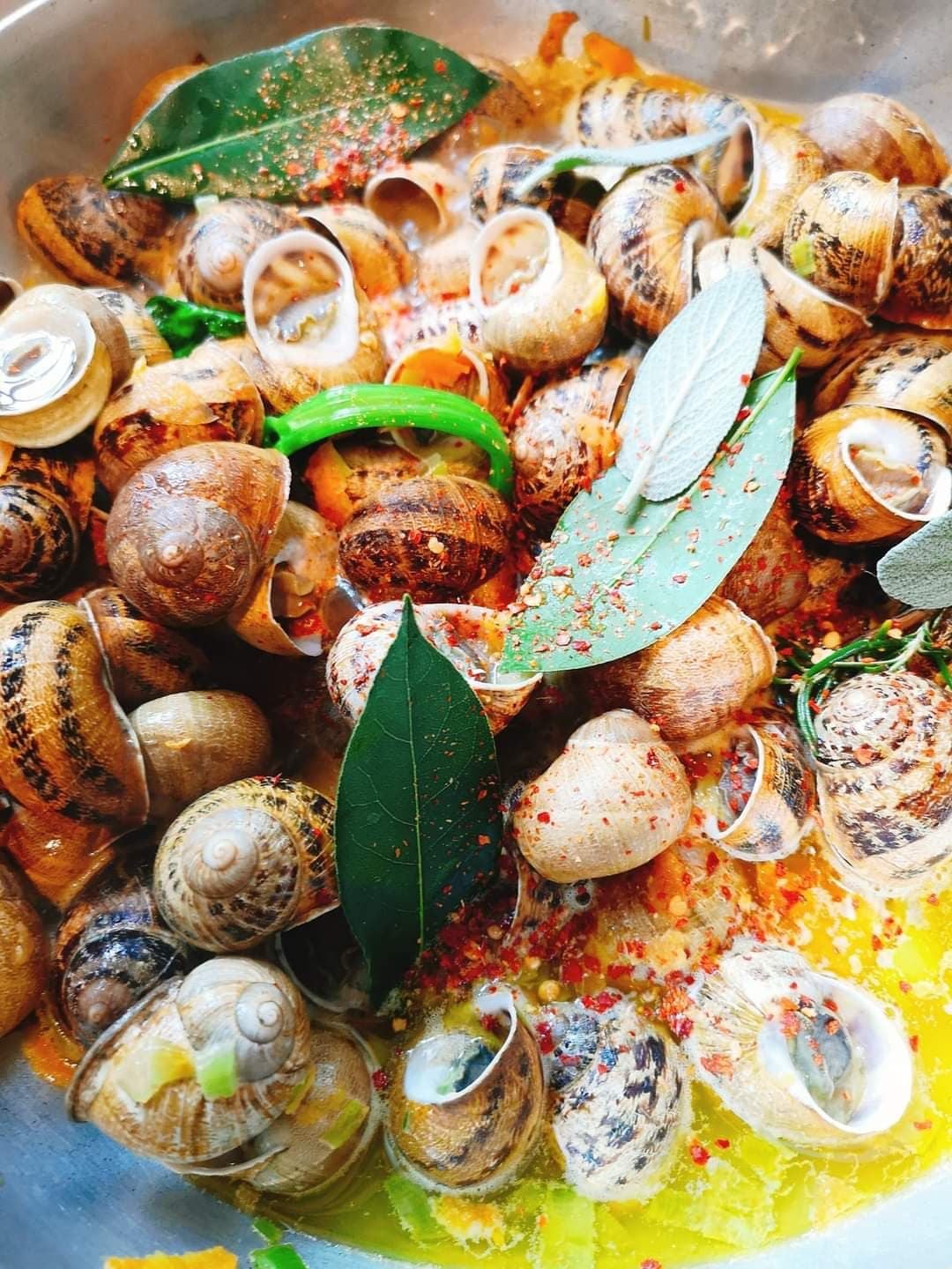 lumache di Escargot Helix Aspersa Muller fresche con spezie in omaggio