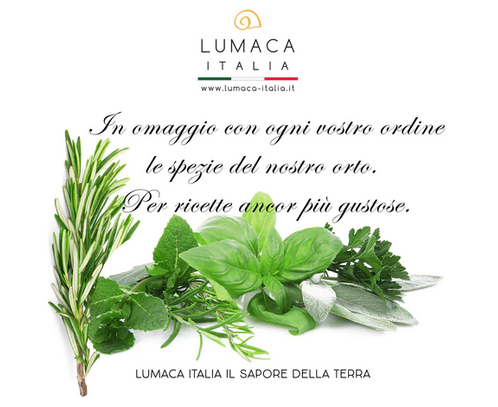 1 kg Lumache Rigatella (Eobania Vermiculata) + OMAGGIO