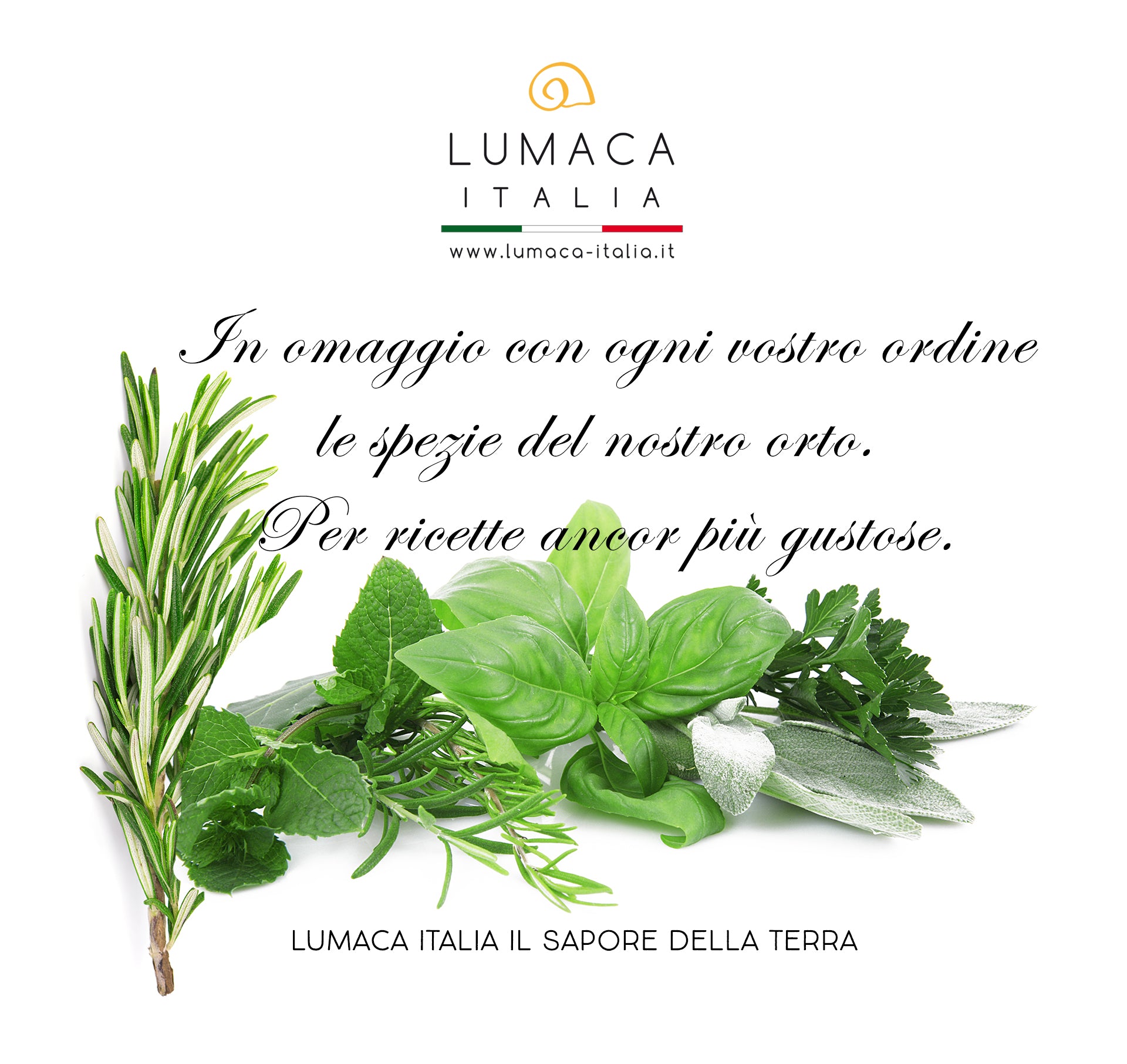 omaggio erbe aromatiche lumache